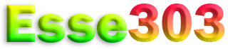 ESSE303